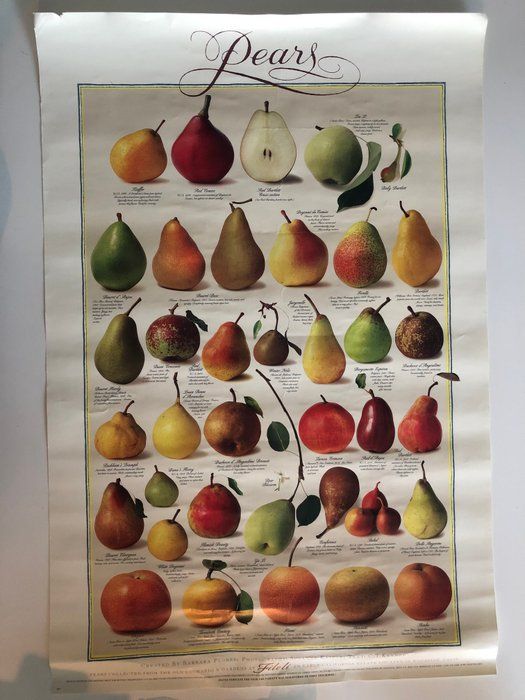Lot 418: Lithographic Pear Poster