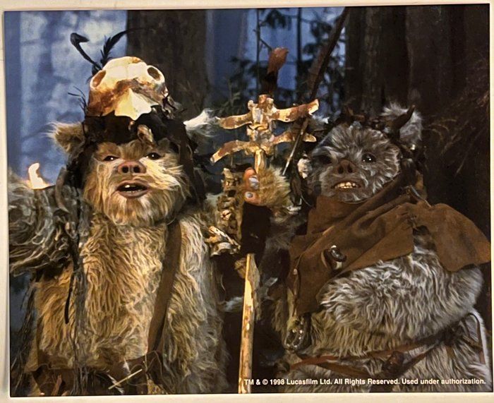 Lot 489: 1998 Star Wars Ewoks Movie Photo