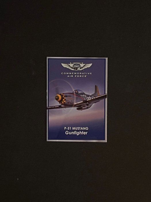Lot 602: Commemorative Air Force P 51 Mustang Gunfighter Card