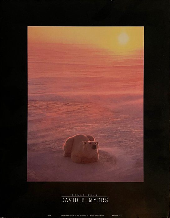 Lot 721: David E. Myers Polar Bear Art Print