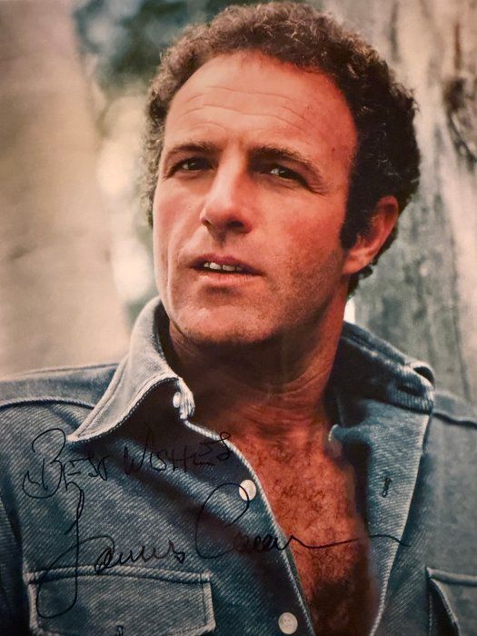 Lot 62: The Godfather James Caan signed photo