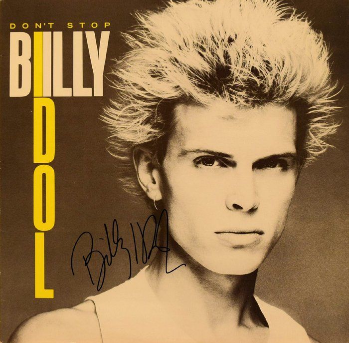 Lot 313: Billy Idol signed Don’t Stop album