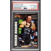 Lot 209: NWO Brian Adams Signed Card