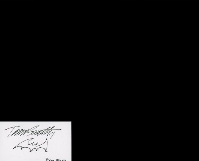 Lot 225: Batman Comic Book Artist Terry Beatty signature cut