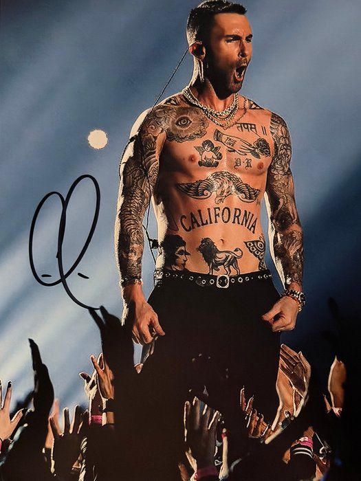Lot 381: The Voice Adam Levine signed photo