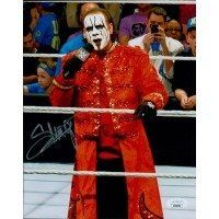Lot 409: WWF WWE WCW Wrestler Sting Steve Borden Signed Photo