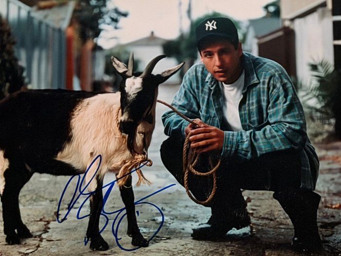 Lot 417: Adam Sandler signed photo