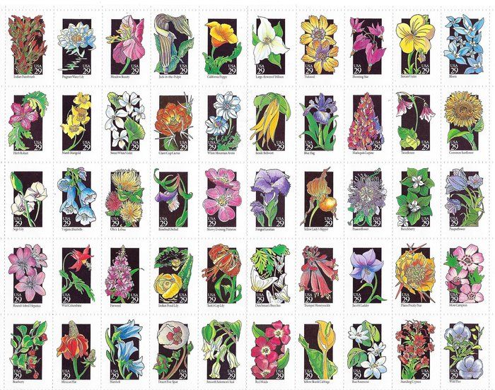 Lot 554: State Flowers Stamp sheet