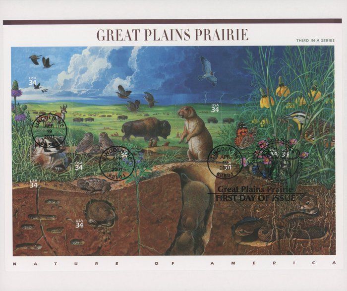 Lot 714: Great Plains Prairie First Day Cover