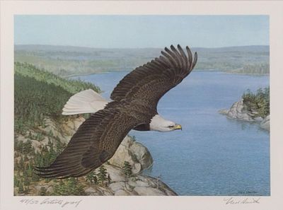 Lot 123 - Ned Smith Artist Proof Eagle Proof Print | Cordier Auctions