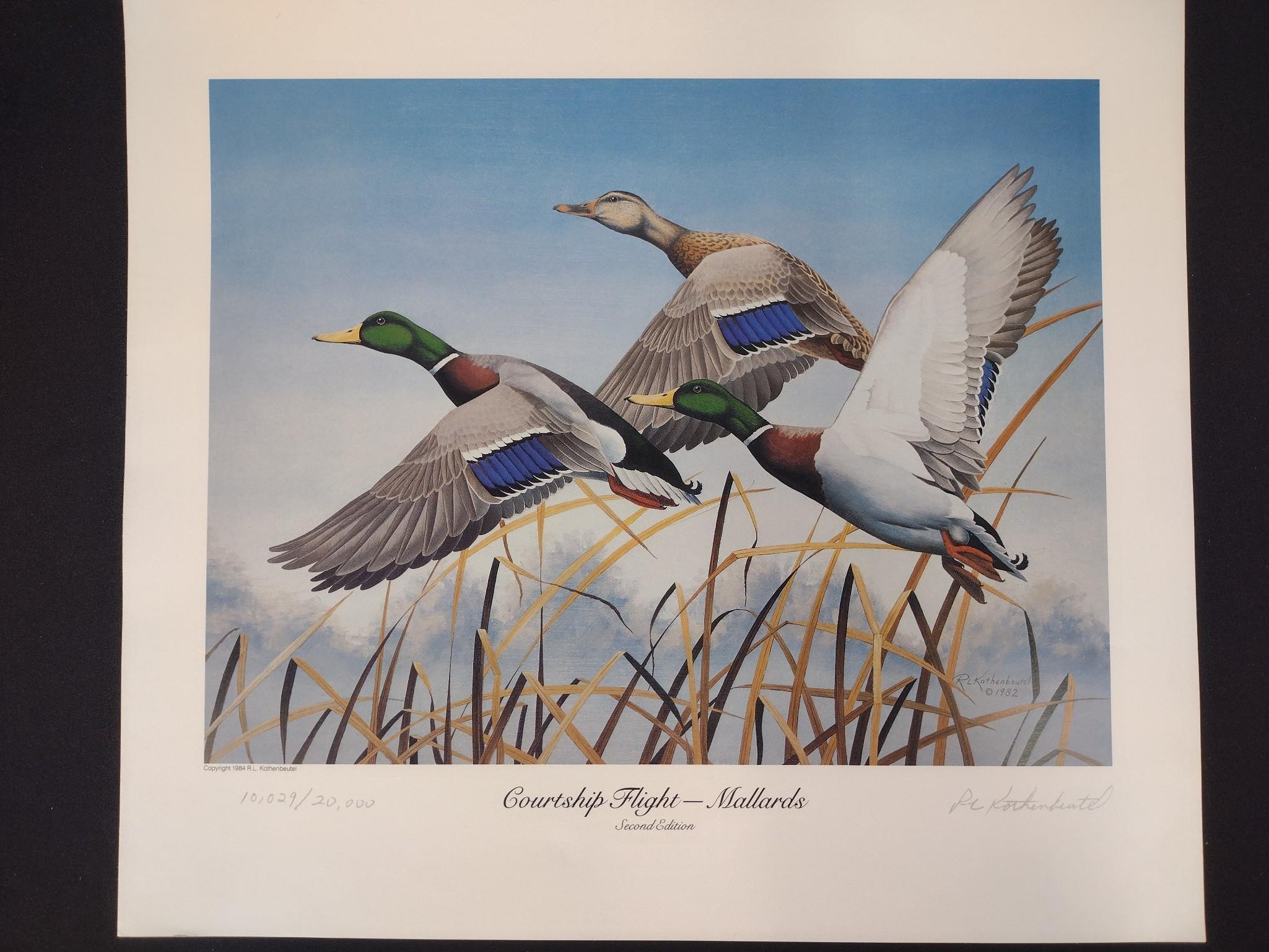 宋綠頭乳鴨- 資訊咖, image size:2049x1537