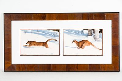 2 Framed Mountain Lion Pictures. NOT ELIGIBLE FOR IN-HOUSE SHIPPING: See Terms for Shipping 