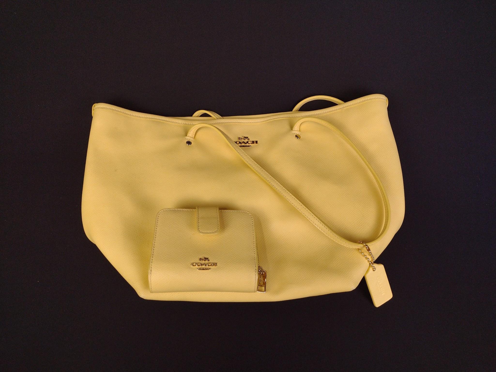 2 Coach Street Zip Tote Bags