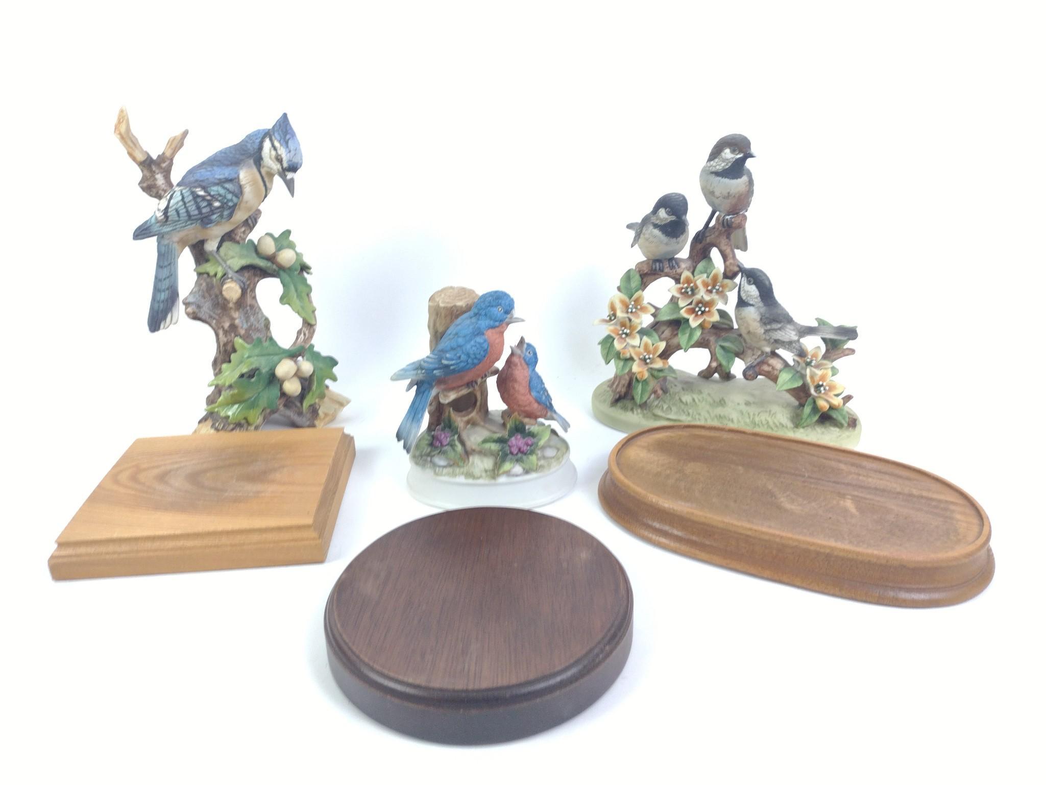 5 Figurines Incl. Andrea Black Cap Chickadee