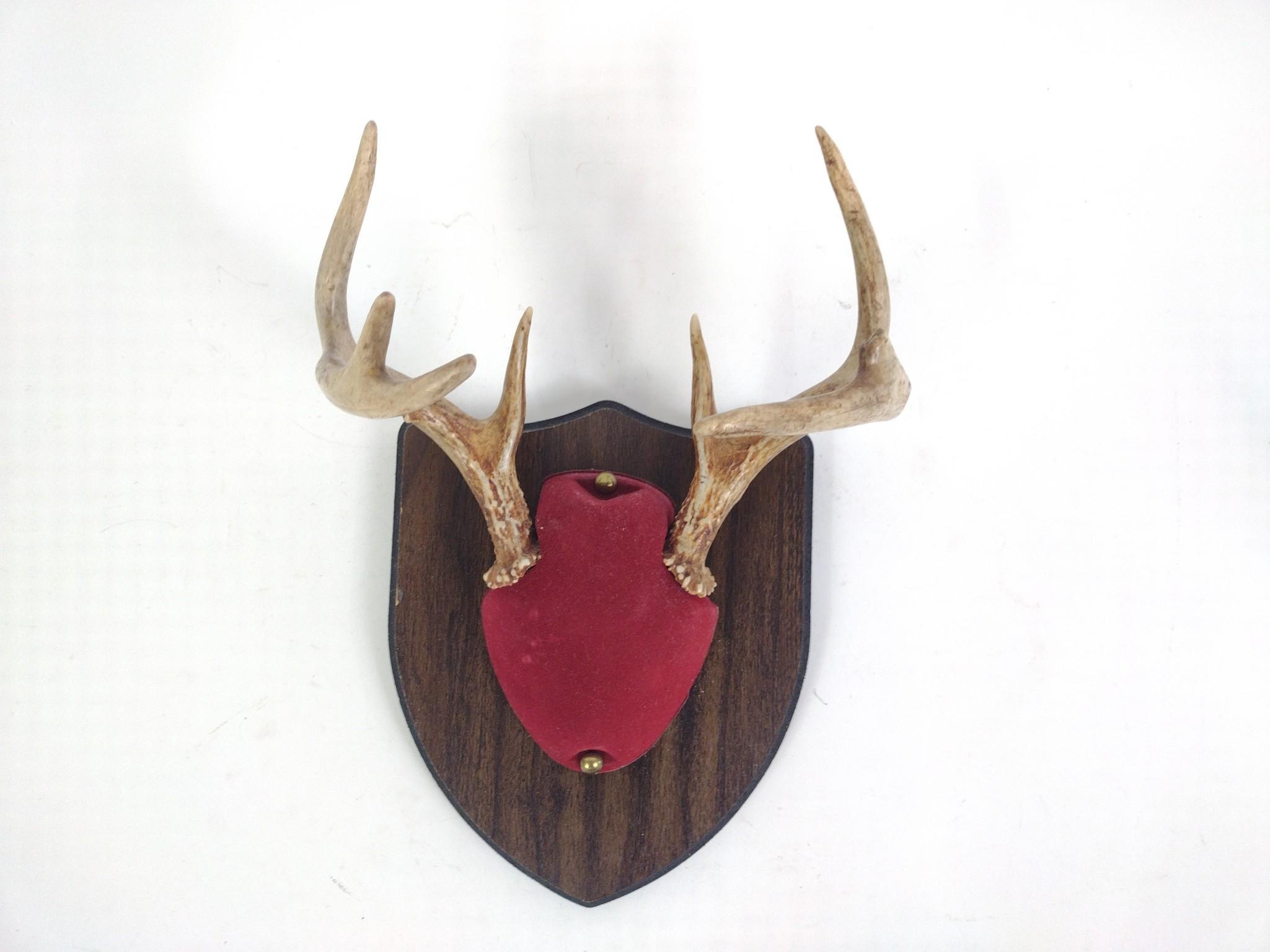 3 Mounted Antlers