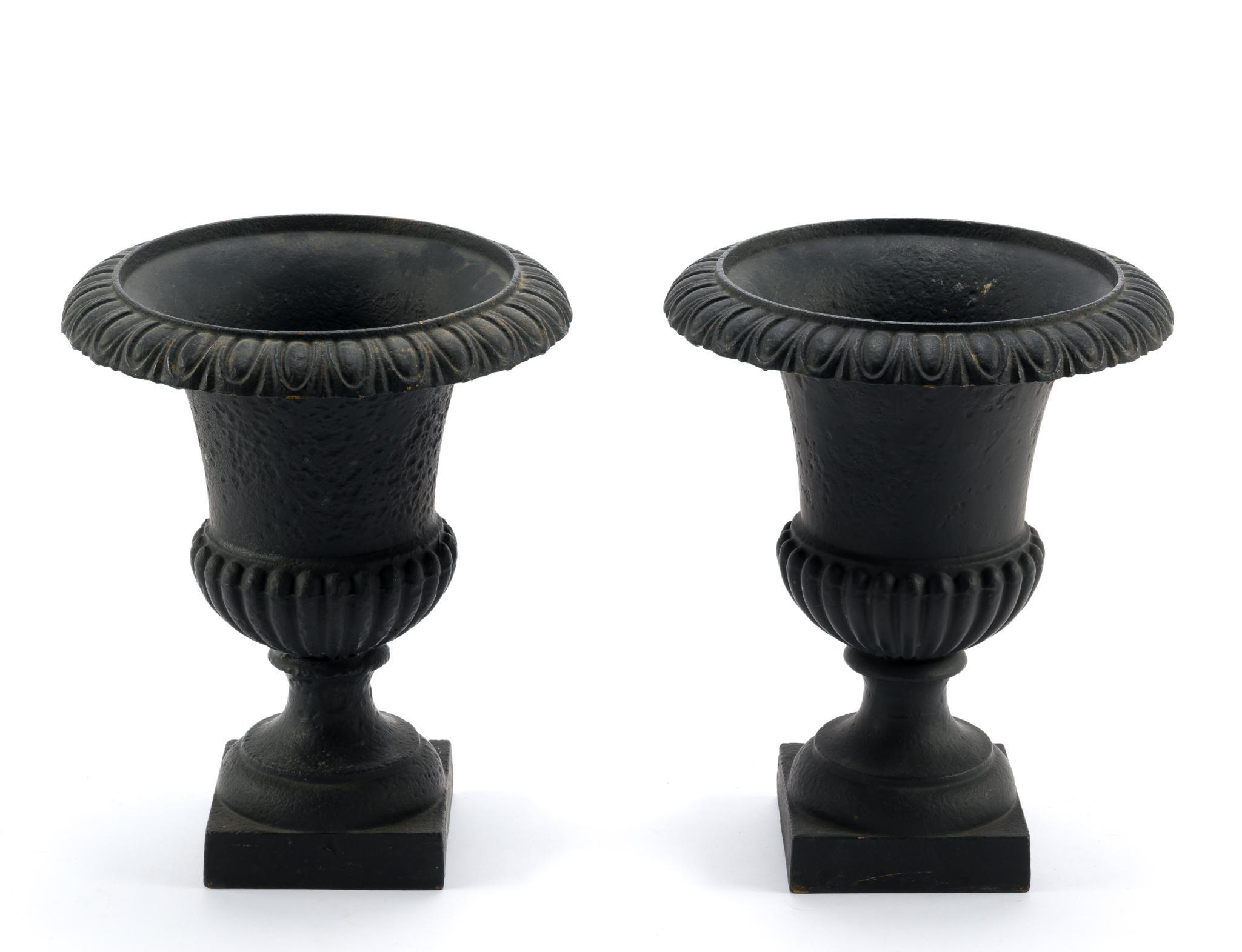 Pair of Neoclassical Style Cast Iron Planters