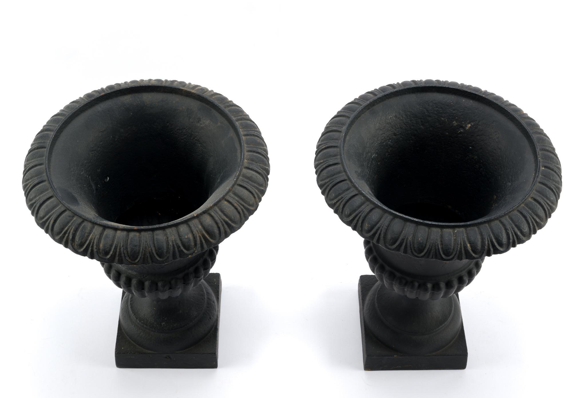 Pair of Neoclassical Style Cast Iron Planters