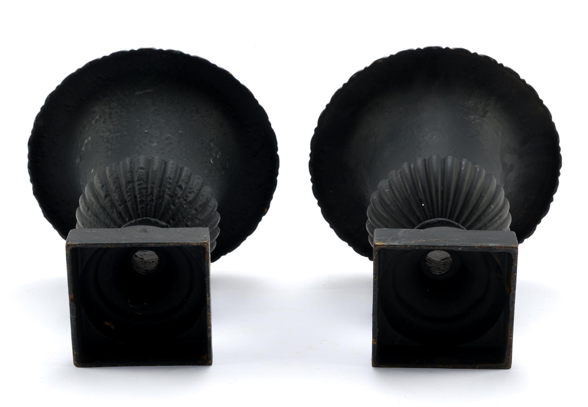 Pair of Neoclassical Style Cast Iron Planters