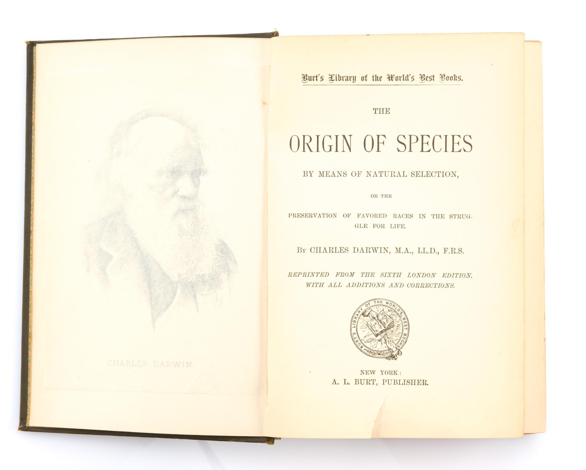 Antique Historical Books and Novels