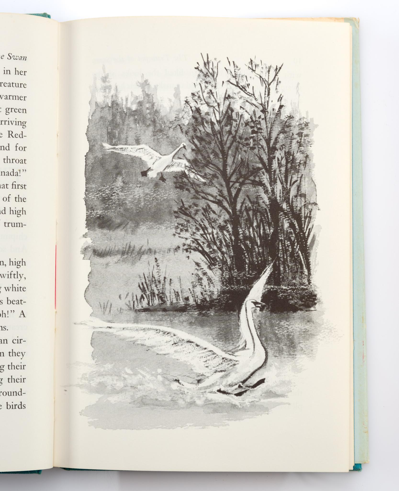 First Edition of The Trumpet of the Swan by E. B. White