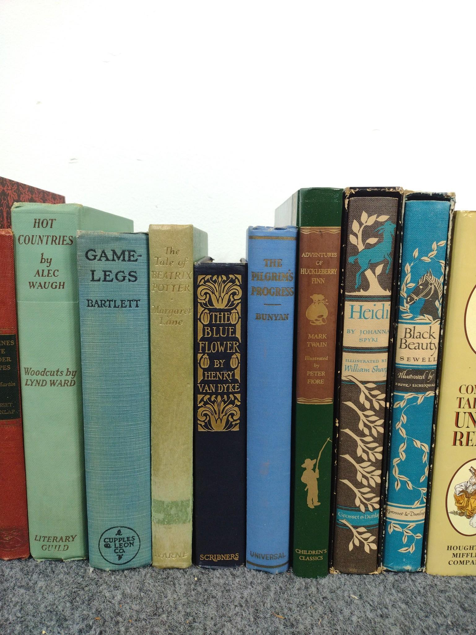 Books incl. Flight of the Blackbird