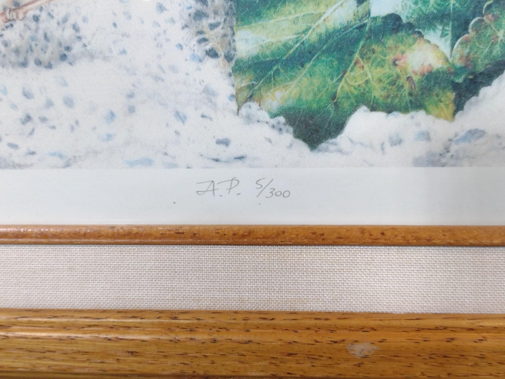 5 Framed Wildlife & Genre Limited Edition Prints, Signed