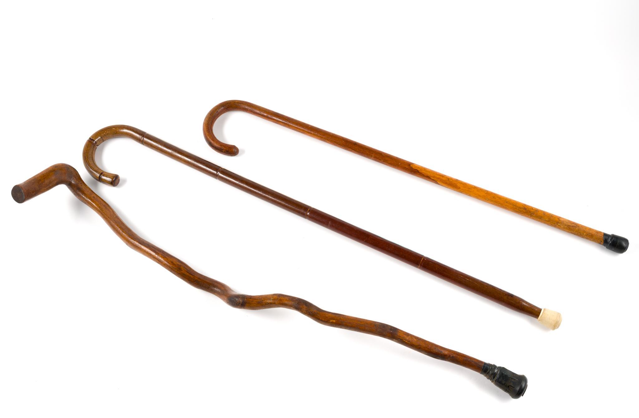 (Gilded Age) 3 Rustic Wooden Canes