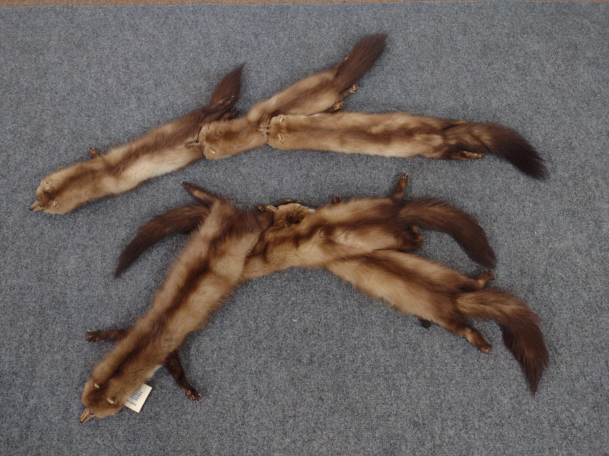 Mink Stoles & Fur Collars