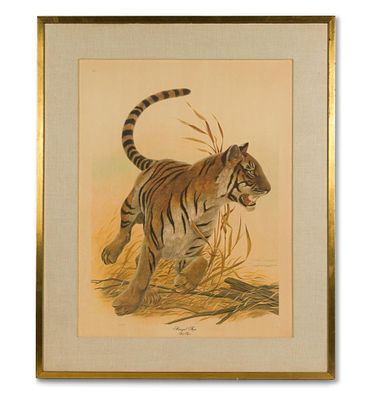 John Ruthven "Bengal Tiger" Lithograph. Plate 1 of the Safari Series. Signed right side. Edition 