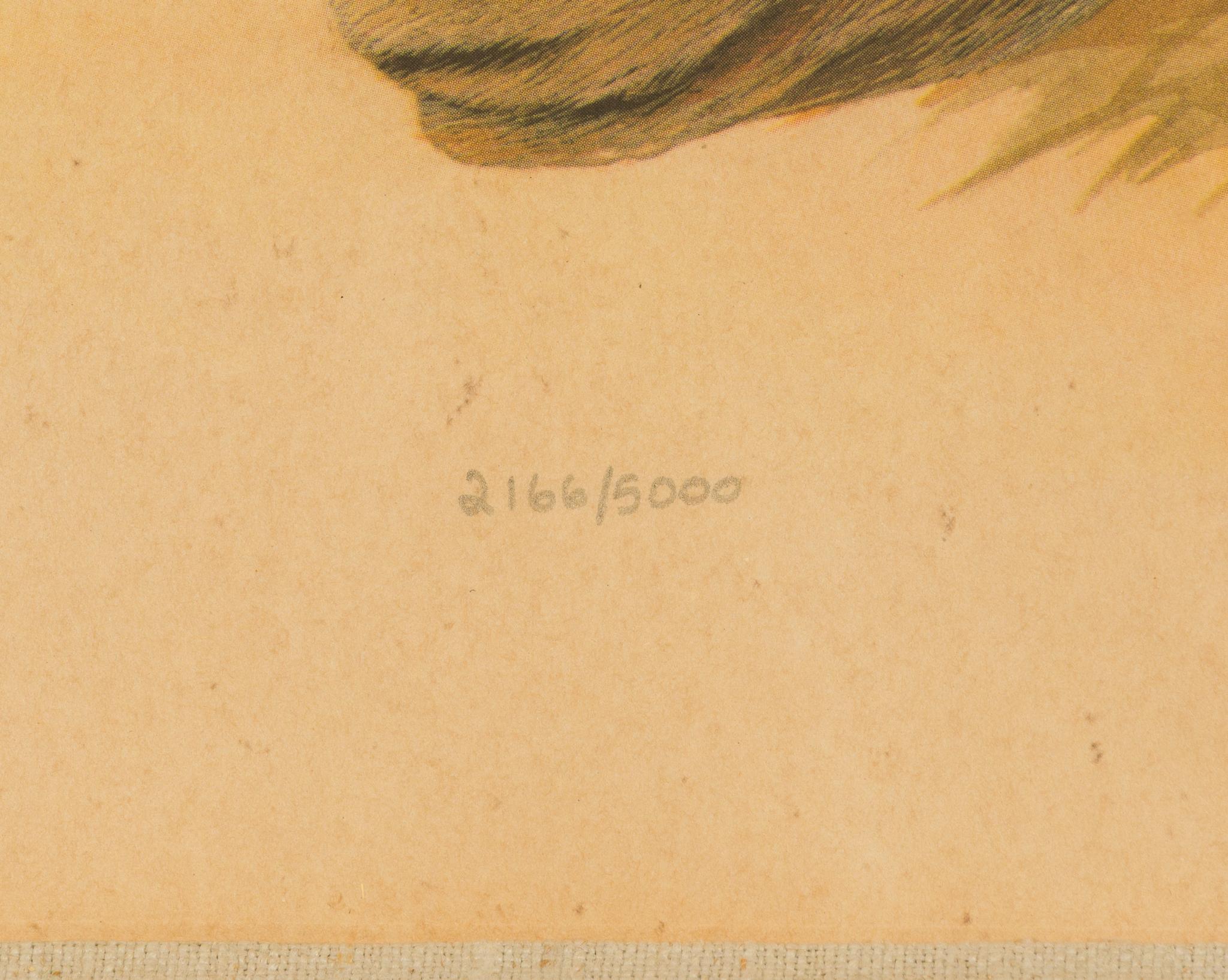 John Ruthven "Bengal Tiger" Lithograph