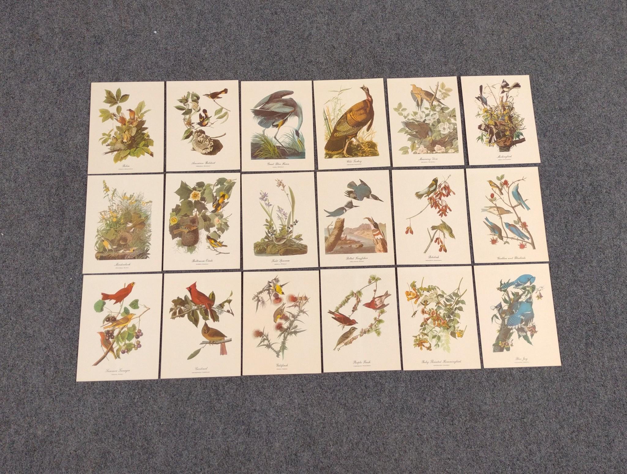 4 Prints Incl. Audubon Birds