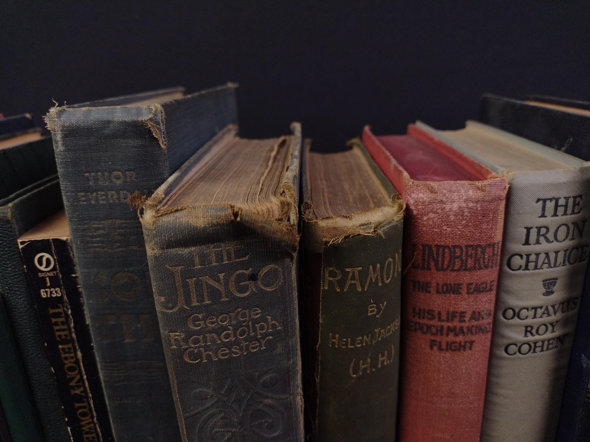 18 Vintage Books Incl. Haggard & Nabokov