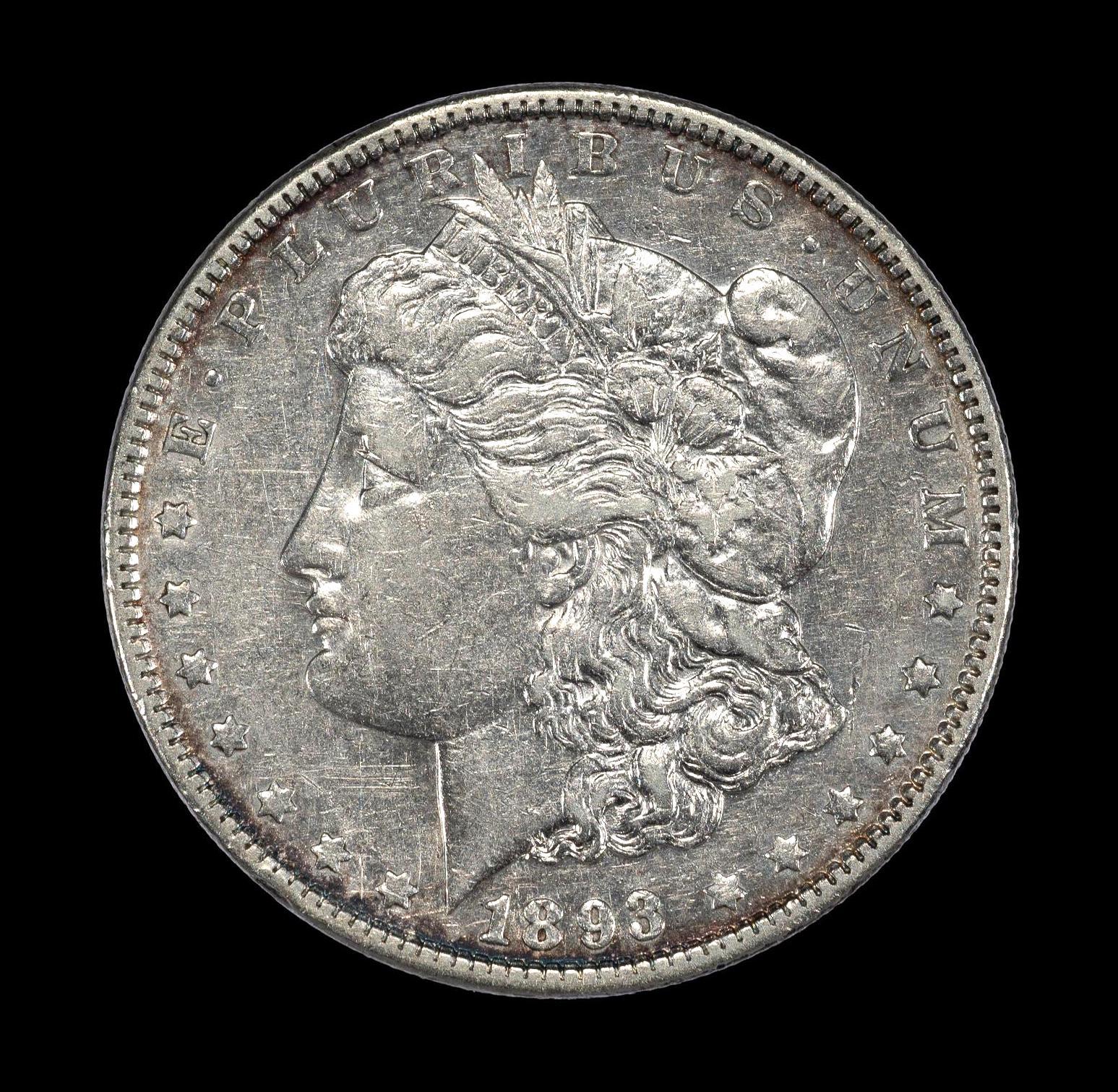 1893 Philadelphia Mint Silver Dollar