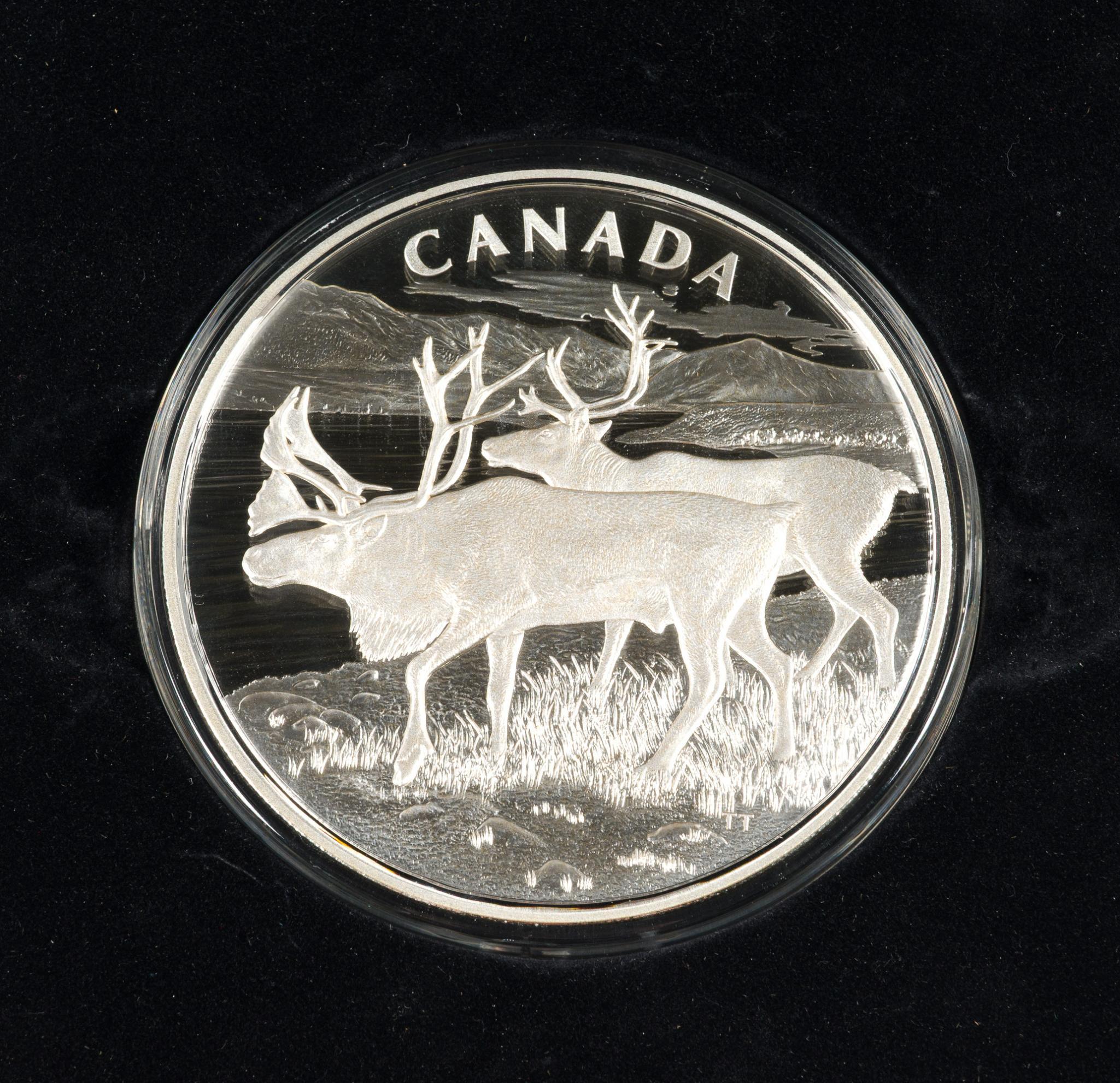 One Kilogram Pure Silver 2013 Canada Coin
