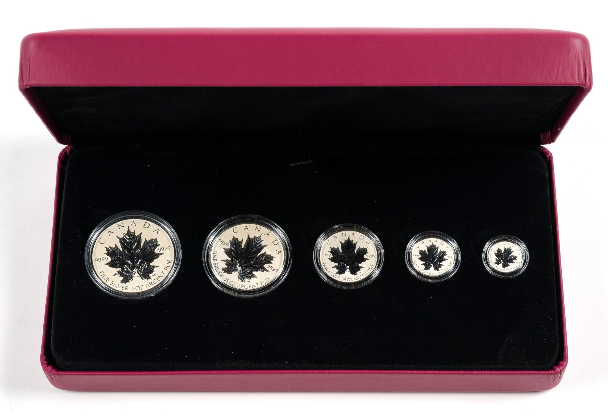 Six Sets Of Pure Silver Coins 2013 Canada