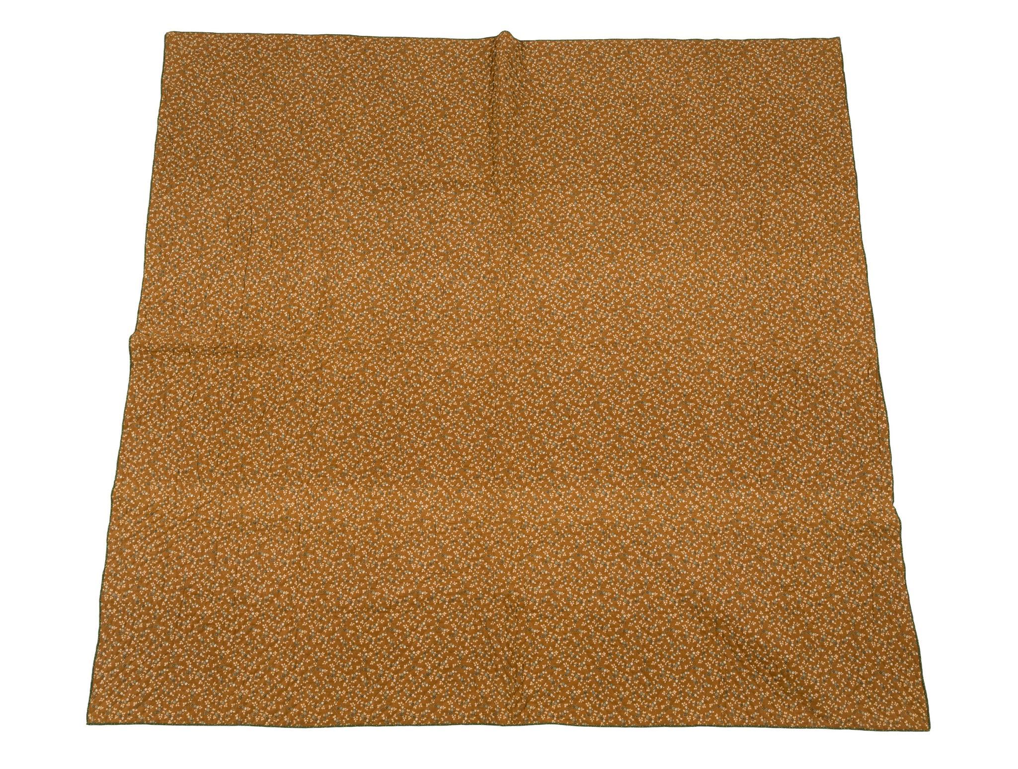 Early 20th C Prickly Pear/Indian Trail Quilt