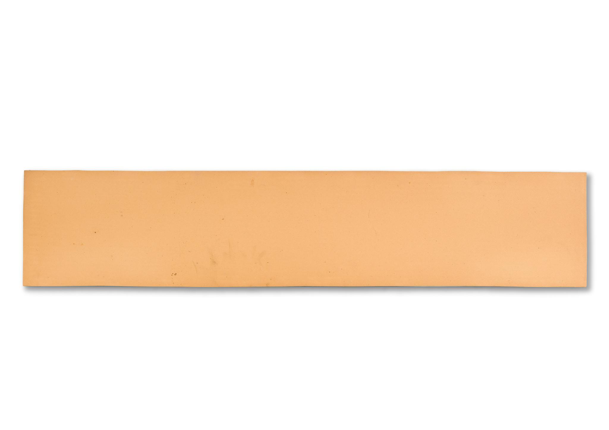 WWI Panoramic Photo of 6th Battalion