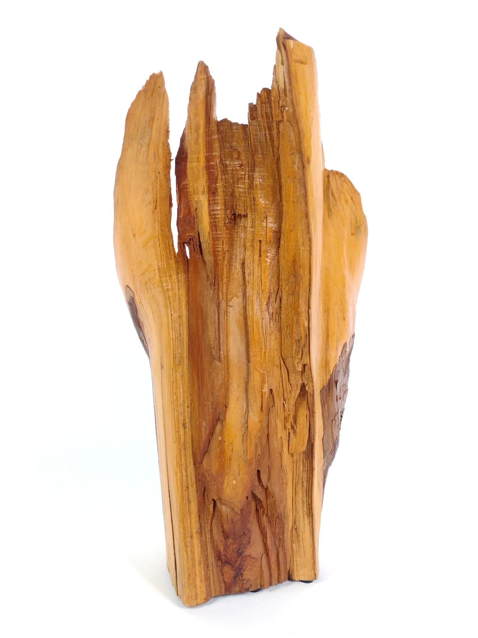 2 Unsigned Bird Statues & David Brown Native American Chief