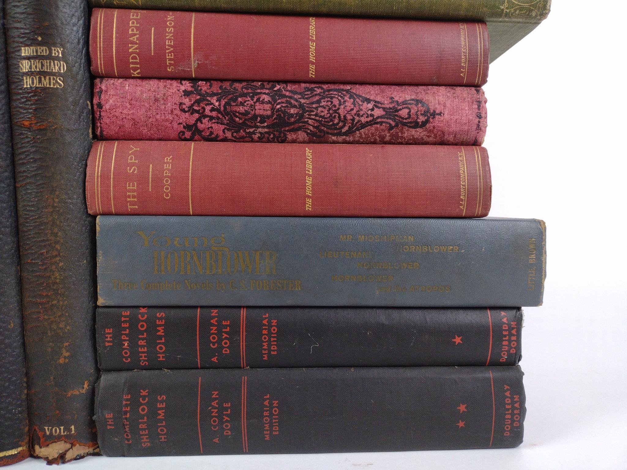 28 Antique & Vintage Books Incl. Poe & Conan Doyle