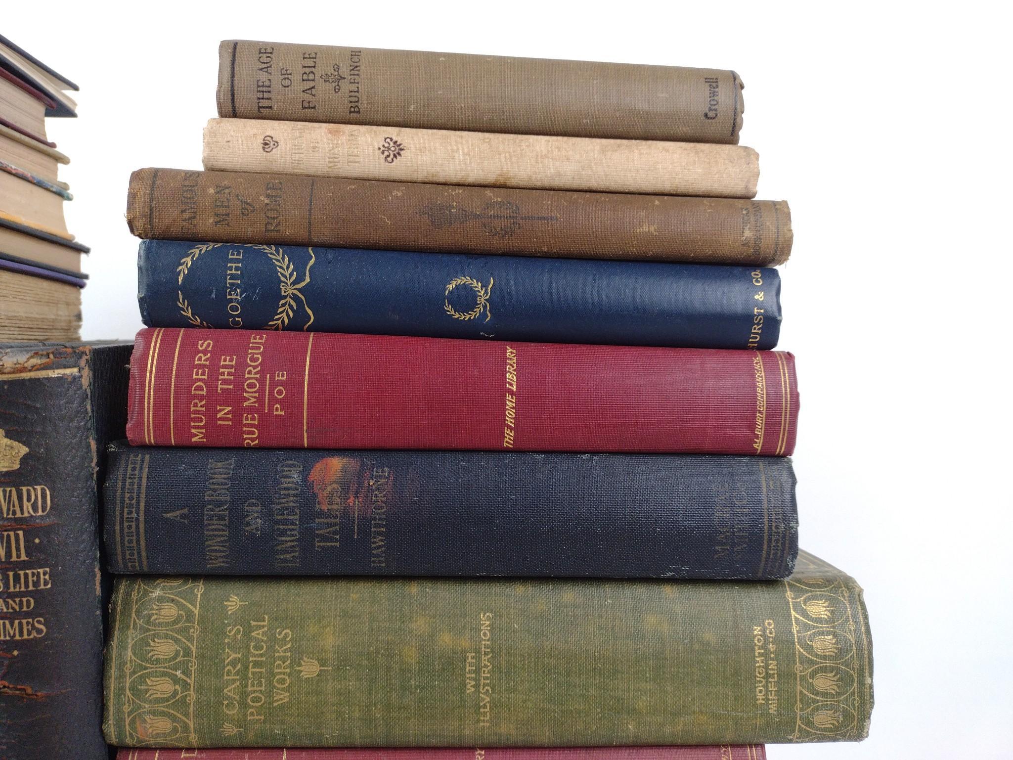 28 Antique & Vintage Books Incl. Poe & Conan Doyle