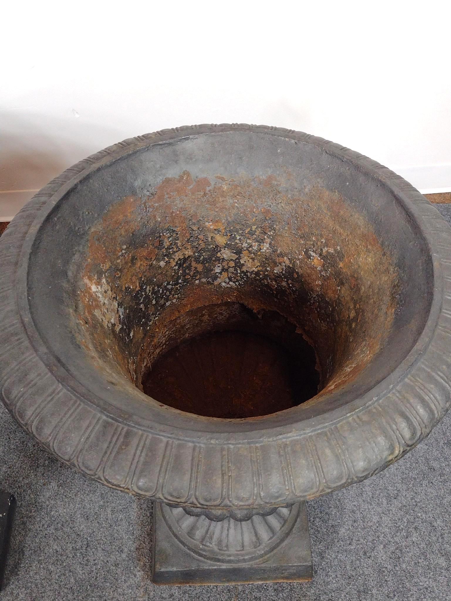 Pair of Cast Iron Planters and Cement Decoration