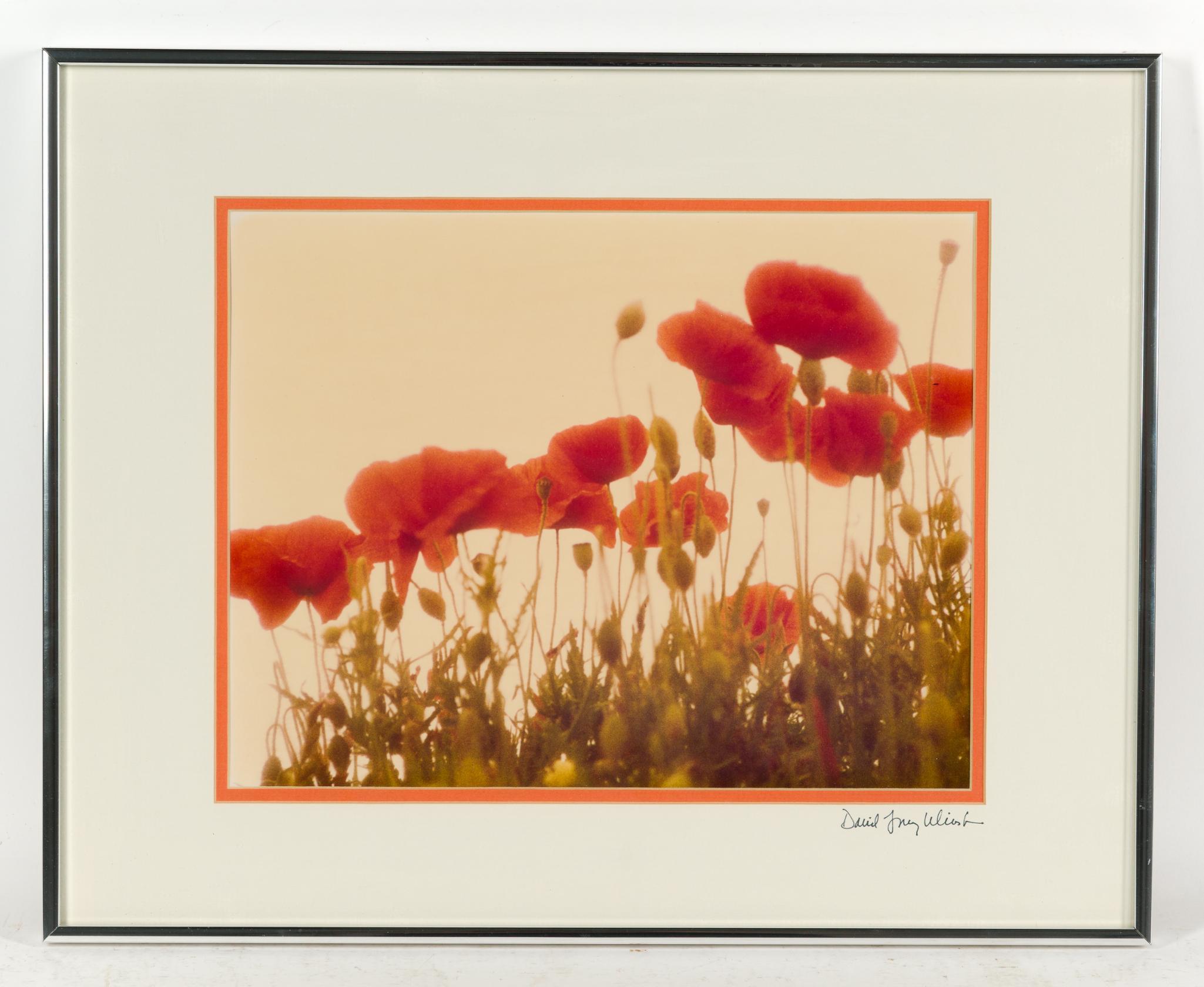 3 Framed Artworks Incl. John W. Gregory Thunderhead