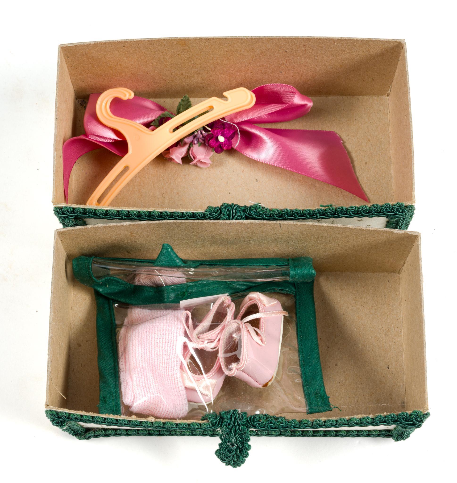 Robin Woods Doll in Carrying Case & Doll Clothes