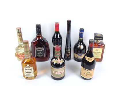9 Bottles of Estate Alcohol. Includes Drambuie, Casa Vento, Jacquin's Creme de Cacao, Christian 
