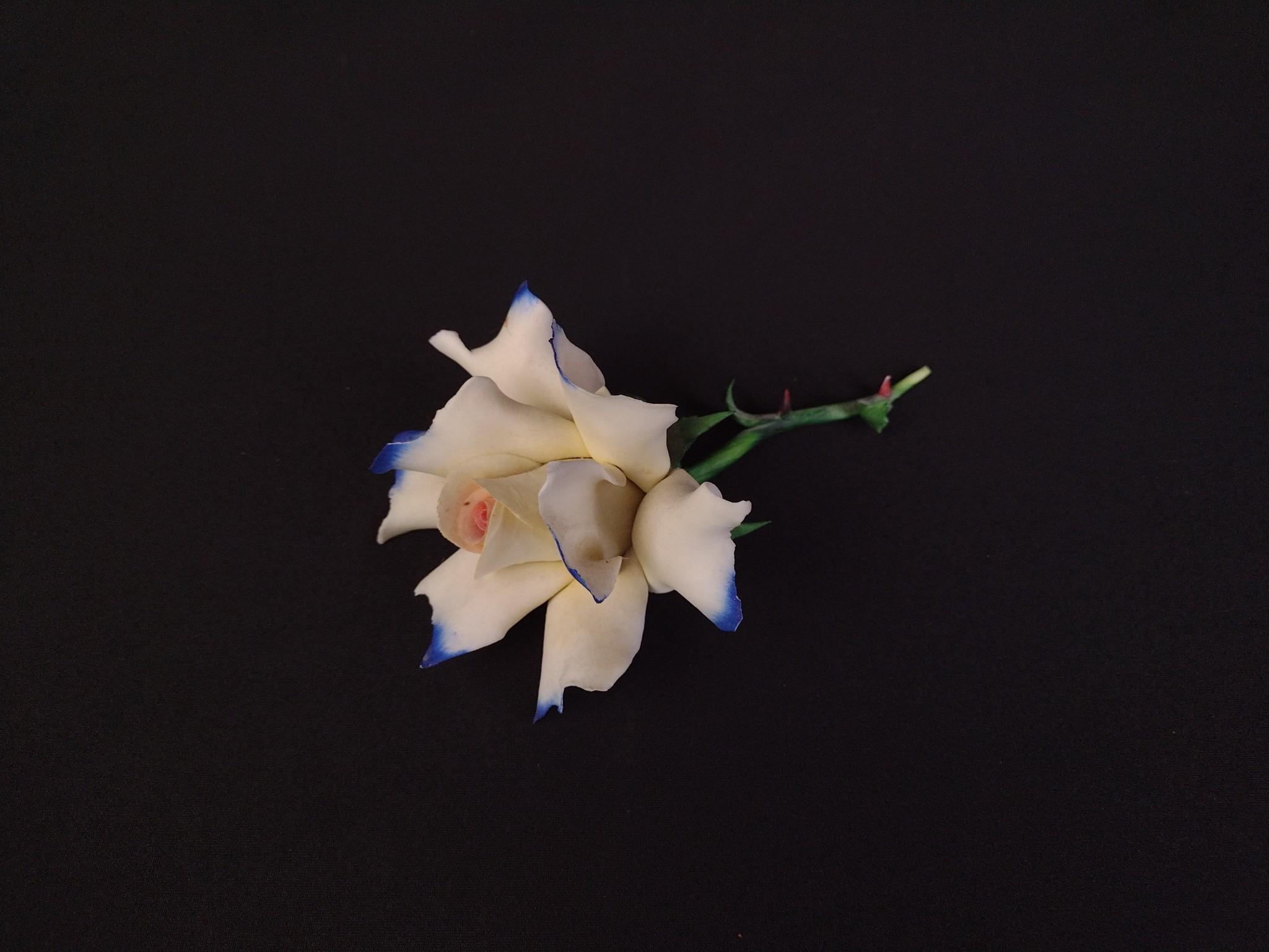 3 Capodimonte Flowers