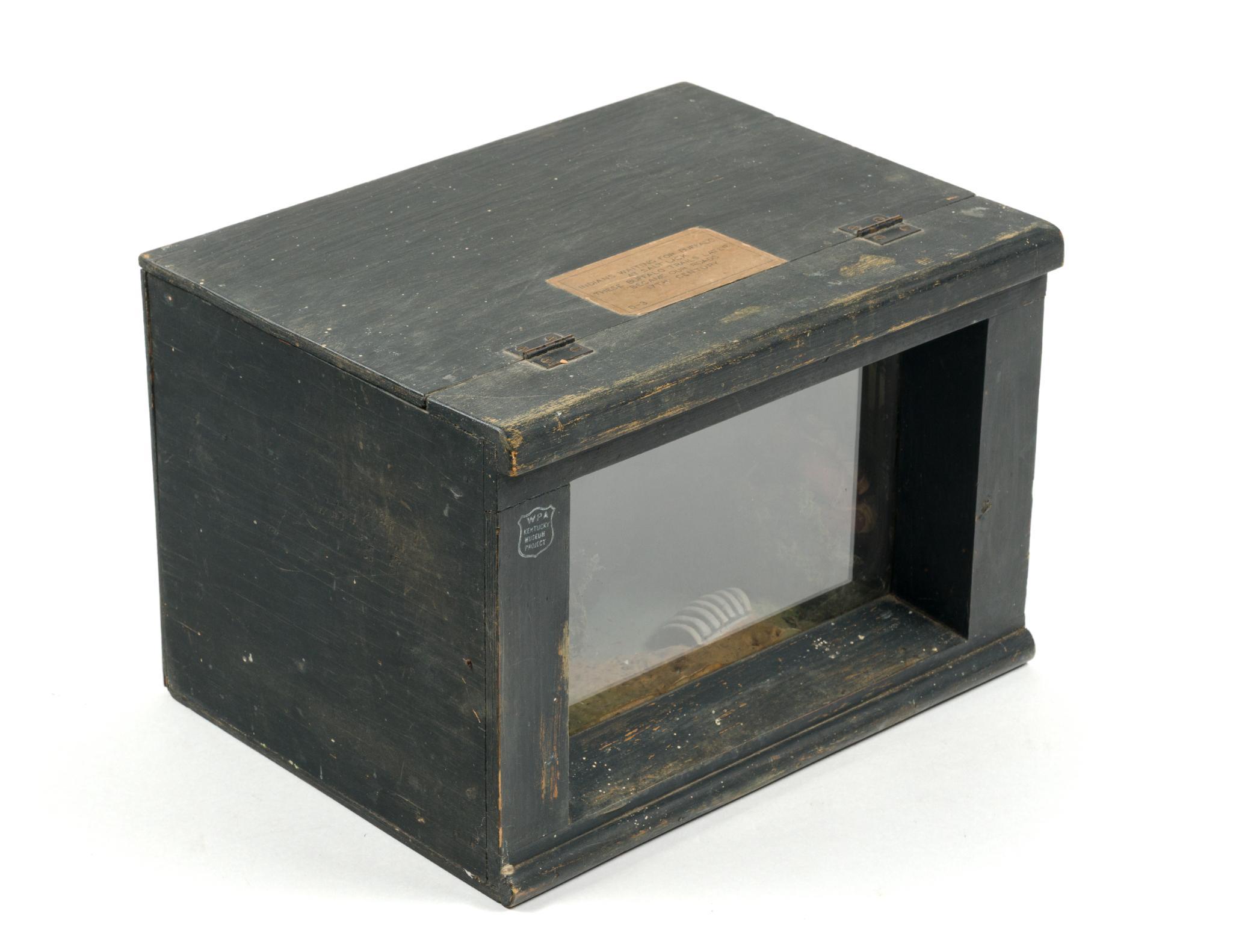 WPA Kentucky Museum Project Shadow Box