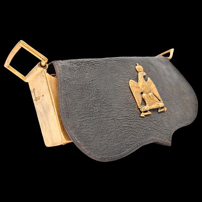 A Rare French, First Empire, Napoleonic, light cavalry officer's pouch. Item details 