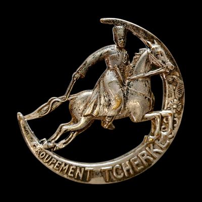 Breast badge of the French Circassian regiment (1919-1946). Item details 
Description 
Breast 