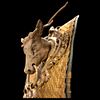 A Very Rare Luxury Hunting Belt that belonged to Ferdinand IV, Grand Duke of Tuscany. Item Изображение - 6