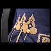 Rare Royal Spain WW2 Senior Officer Ceremonial Clothing Set with Owner Portrait. Item details Изображение - 10